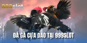 Đá Gà Cựa Dao Tại 999SLOT - Trải Nghiệm Đỉnh Cao Giải Trí