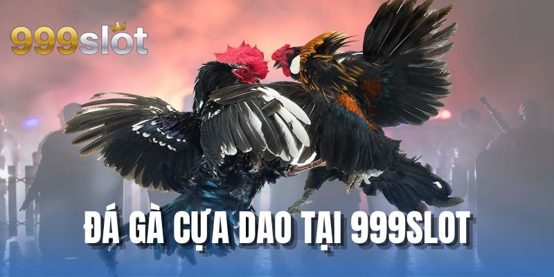 Đá Gà Cựa Dao Tại 999SLOT - Trải Nghiệm Đỉnh Cao Giải Trí